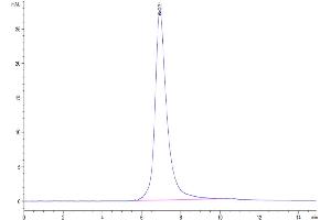 The purity of FITC-Compatible Human CD19 is greater than 95 % as determined by SEC-HPLC. (CD19 Protein (AA 20-291) (His tag,FITC))