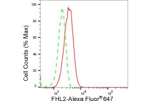 Flow cytometric analysis of FHL2 expression in HT- cells using FHL2 antibody (ABIN7798656), 1:2,000).