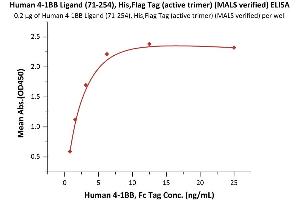 Immobilized Human 4-1BB Ligand (71-254), His,Flag Tag (active trimer) (MALS verified) (ABIN6951005,ABIN6952261) at 2 μg/mL (100 μL/well) can bind Human 4-1BB, Fc Tag (ABIN2180548,ABIN2180547) with a linear range of 0. (TNFSF9 Protein (AA 71-254) (DYKDDDDK Tag,His tag))