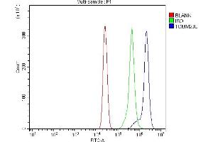 Flow Cytometry analysis of U937 cells using anti-TOMM20L antibody (ABIN7602937). (TOMM20L antibody  (C-Term))