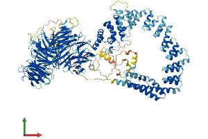 AlphaFold protein structure predicition of Mouse Recombinant Elp1 Protein, UniprotID Q7TT37 (IKAP/p150 Protein (AA 1-1333) (His tag))