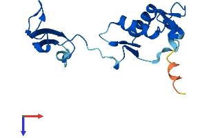 FK506 Binding Protein 9-Like (FKBP9L) (AA 1-142) protein (His tag)