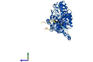 AlphaFold protein structure predicition of Human Recombinant DPYS Protein, UniprotID Q14117