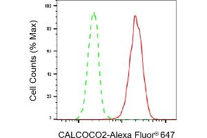Flow cytometric analysis of CALCOCO2 expression in HeLa cells using CALCOCO2 antibody (ABIN7797826), 1:2,000).