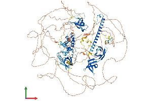 AlphaFold protein structure predicition of Mouse Recombinant Arid4b Protein, UniprotID A2CG63 (BRCAA1 Protein (AA 1-1314) (His tag))