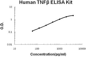 Human TNF beta Accusignal ELISA Kit Human TNF beta AccuSignal ELISA Kit standard curve.