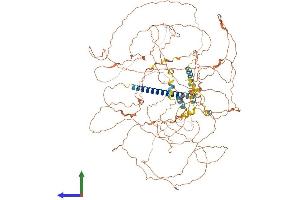 AlphaFold protein structure predicition of Mouse Recombinant Krba1 Protein, UniprotID Q6NXZ1