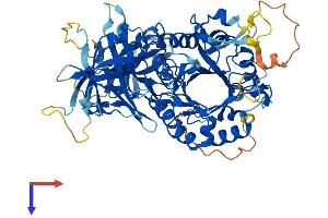 glycerophosphocholine phosphodiesterase GDE1 Homolog (GPCPD1) (AA 1-675) protein (His tag)