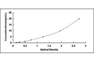 ACP5 ELISA Kit