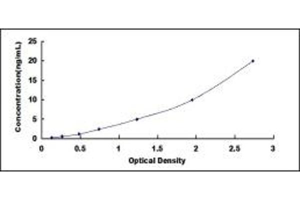 ACP5 ELISA Kit