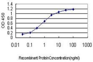 Detection limit for recombinant GST tagged HD is approximately 0. (Huntingtin antibody  (AA 81-190))