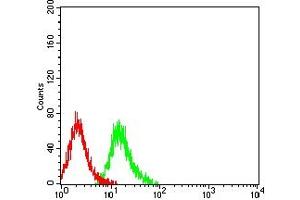 Flow cytometric analysis of Jurkat cells using TNFRSF12A mouse mAb (green) and negative control (red). (TNFRSF12A antibody  (AA 28-80))