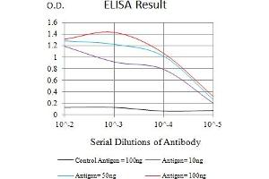 Black line: Control Antigen (100 ng),Purple line: Antigen (10 ng), Blue line: Antigen (50 ng), Red line:Antigen (100 ng) (BCAM antibody  (AA 32-197))