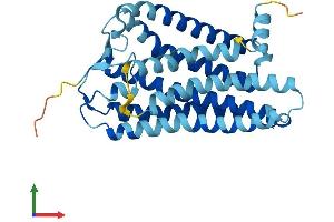AlphaFold protein structure predicition of Human Recombinant OR10J5 Protein, UniprotID Q8NHC4 (OR10J5 Protein (AA 1-309) (His tag))