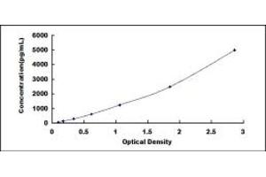 Typical standard curve (FGL2 ELISA Kit)