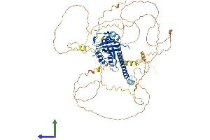 AlphaFold protein structure predicition of Human Recombinant RABL6 Protein, UniprotID Q3YEC7