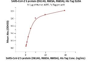 Immobilized Human ACE2, Fc Tag (Cat.