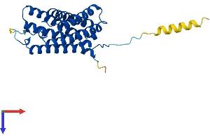 AlphaFold protein structure predicition of Mouse Recombinant Tmem150c Protein, UniprotID Q8C8S3 (TMEM150C Protein (AA 1-249) (His tag))