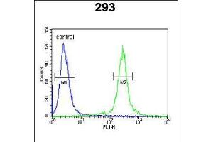 Flow cytometric analysis of 293 cells (right histogram) compared to a negative control cell (left histogram). (TCERG1L antibody  (AA 392-421))