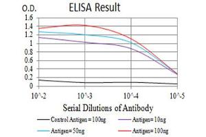 Black line: Control Antigen (100 ng),Purple line: Antigen (10 ng), Blue line: Antigen (50 ng), Red line:Antigen (100 ng) (MME antibody  (AA 549-750))