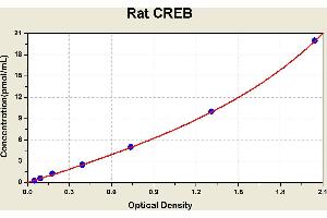 Diagramm of the ELISA kit to detect Rat CREBwith the optical density on the x-axis and the concentration on the y-axis.