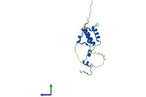 AlphaFold protein structure predicition of Human Recombinant MRPL50 Protein, UniprotID Q8N5N7 (MRPL50 Protein (AA 1-158) (His tag))
