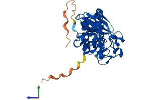 Protein Structure (PS) image for Proto-Oncogene Pim-2 (Serine Threonine Kinase) (PIM2) (AA 1-311) protein (His tag) (ABIN7554967)