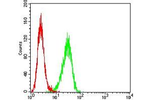 Flow cytometric analysis of Hela cells using BTRC mouse mAb (green) and negative control (red). (BTRC antibody  (AA 24-151))