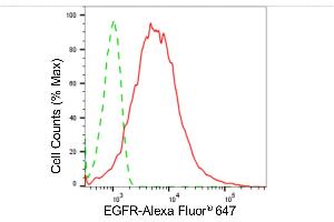 Flow cytometric analysis of EGFR expression in HepG2 cells using EGFR antibody (ABIN7798479), 1:2,000). (Recombinant EGFR antibody)