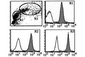 Flow Cytometry (FACS) image for anti-CD46 (CD46) antibody (ABIN1449263) (CD46 antibody)