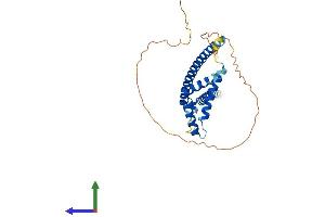 AlphaFold protein structure predicition of Mouse Recombinant Mlx Protein, UniprotID O08609 (MLX Protein (AA 1-298) (His tag))