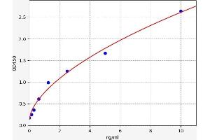 Typical standard curve (T-Bet ELISA Kit)