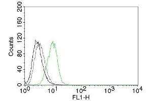 Flow Cytometry of human p27 on HeLa cells. (CDKN1B antibody)