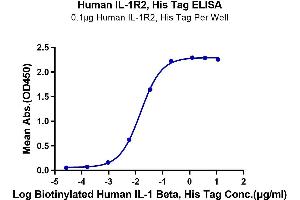 ELISA image for Interleukin 1 Receptor, Type II (IL1R2) (AA 14-343) protein (His tag) (ABIN7274888)