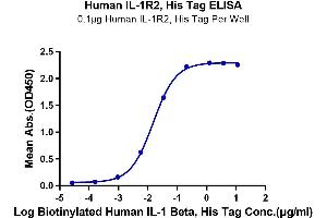 Immobilized Human IL-1R2, His Tag at 1 μg/mL (100 μL/Well) on the plate. (IL1R2 Protein (His tag))
