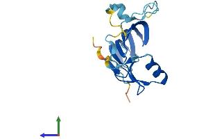 Protein Structure (PS) image for MORN Repeat Containing 5 (MORN5) (AA 1-170) protein (His tag) (ABIN7561222)