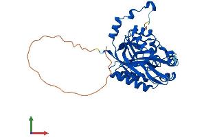 Protein Structure (PS) image for Nitrilase 1 (NIT1) (AA 1-327) protein (His tag) (ABIN7549718)