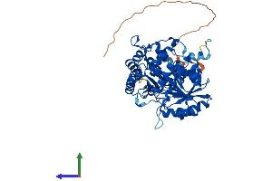 Protein Structure (PS) image for ACC Synthase-Like Protein 1 (ACCS) (AA 1-501) protein (His tag) (ABIN7551808)