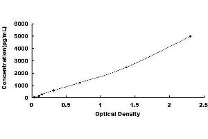 Typical standard curve