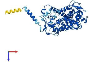 AlphaFold protein structure predicition of Mouse Recombinant Cyp2j6 Protein, UniprotID O54750 (Cyp2j6 Protein (AA 1-501) (His tag))