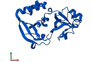 AlphaFold protein structure predicition of Mouse Recombinant Mcts2 Protein, UniprotID Q9CQ21 (Mcts2 Protein (AA 1-181) (His tag))