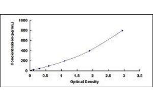 Chymase 1, Mast Cell (CMA1) ELISA Kit