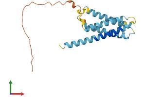AlphaFold protein structure predicition of Human Recombinant CMTM7 Protein, UniprotID Q96FZ5