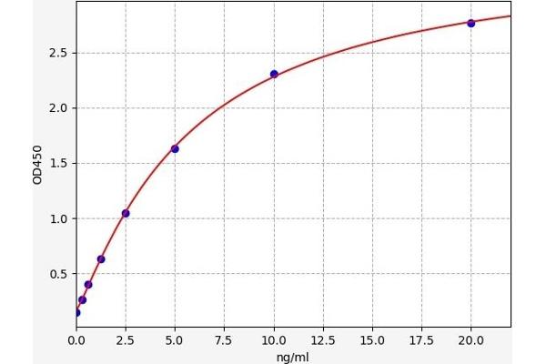 PARM1 ELISA Kit