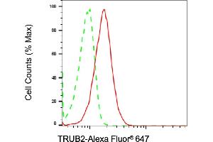 anti-TruB Pseudouridine (Psi) Synthase Homolog 2 (TRUB2) antibody