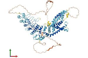 AlphaFold protein structure predicition of Mouse Recombinant Trpv1 Protein, UniprotID Q704Y3