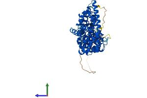 Protein Structure (PS) image for Catenin, beta Like 1 (CTNNBL1) (AA 1-563) protein (His tag) (ABIN7560670)