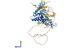 Protein Structure (PS) image for Nuclear Receptor Subfamily 2, Group C, Member 2 (NR2C2) (AA 1-596) protein (His tag) (ABIN7563332)