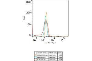 Flow cytometry: Raji cells were stained with Rabbit IgG isotype control (, 2. (CD3G antibody)