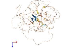 AlphaFold protein structure predicition of Mouse Recombinant Kiaa0232 Protein, UniprotID Q80U59
